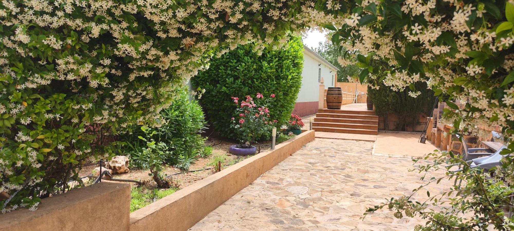 Casa Rural El Tejar ซาน เคลเมนเต ภายนอก รูปภาพ
