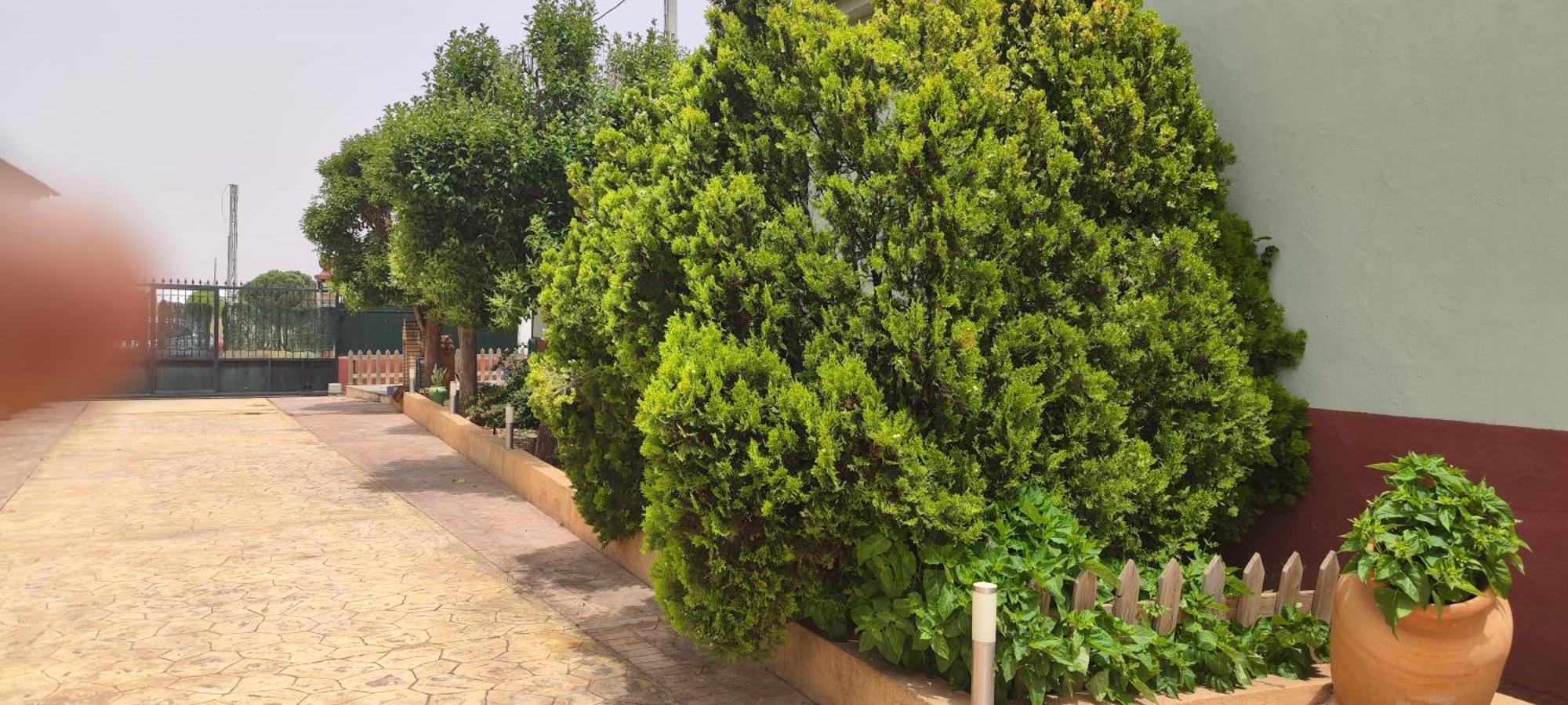 Casa Rural El Tejar ซาน เคลเมนเต ภายนอก รูปภาพ